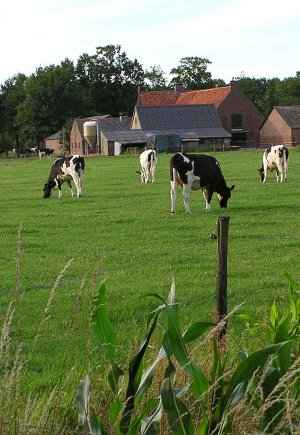 Ruimte voor agrarische bedrijven